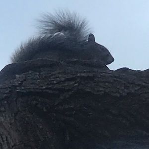 Meet your Posher, Ariful